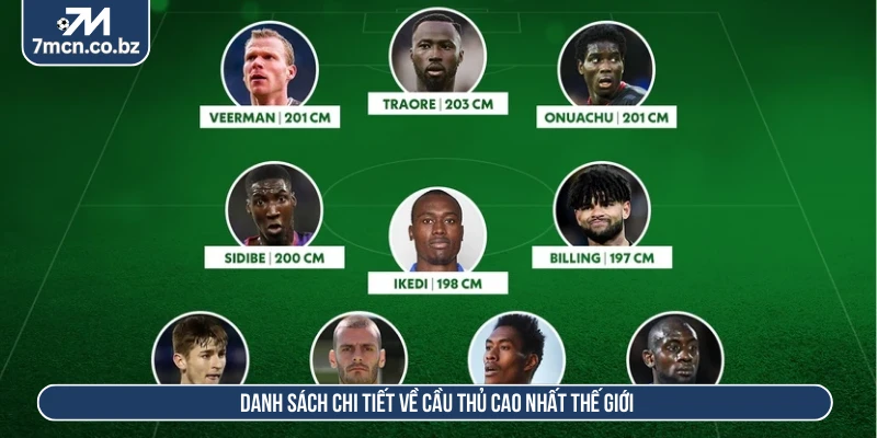 Cầu Thủ Cao Nhất Thế Giới Và Những Sự Thật Thú Vị Nhất 1 Danh sách chi tiết về cầu thủ cao nhất thế giới