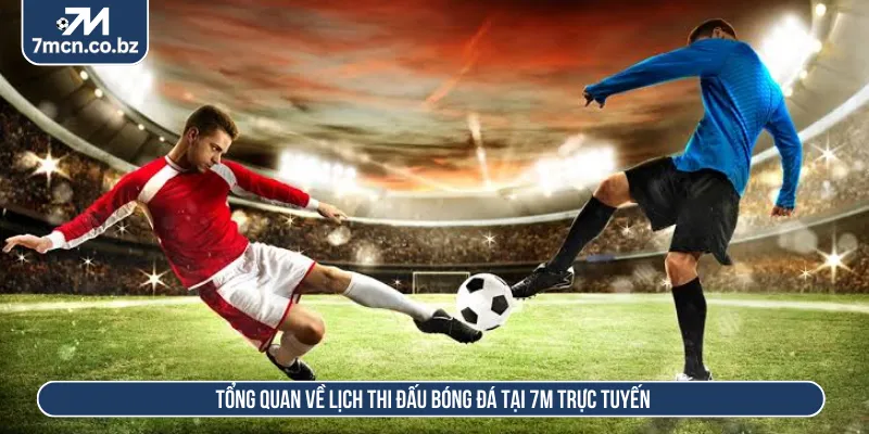 Lịch Thi Đấu 7M Cập Nhật Chính Xác Từng Phút Hôm Nay 2026 1 Lịch thi đấu tổng hợp đầy đủ các thông tin bóng đá rõ ràng